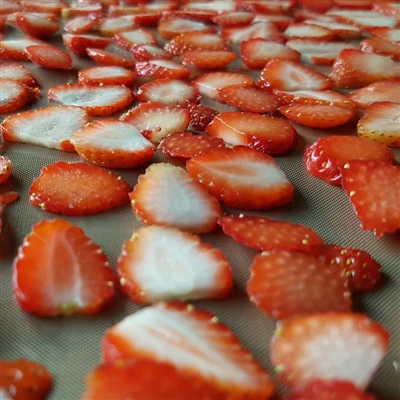 Sychu ffrwythau gyda sychwr aer